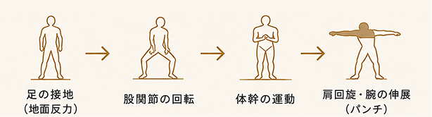 足の接地・股関節の回転・体幹の運動・肩回旋
